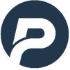 Pluto Capital