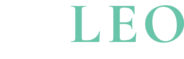Leo Crypto Ventures