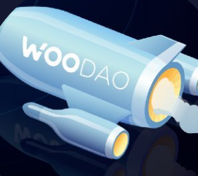 Woo DAO