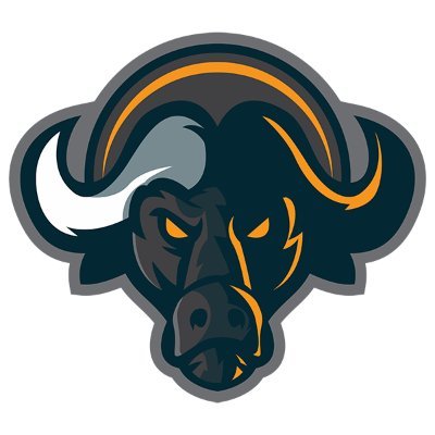 Buffaloswap