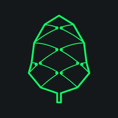 Pine Protocol